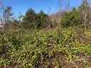 195 Olin Loop 3 sold home in Olin, SC