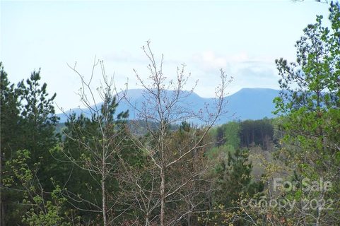 Tract 7 County Line Road sold lot in Overmountain Farms, Mill Spring, NC