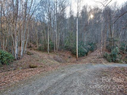 14 45 Hemlock Springs Road sold land listing in Rock House Cove, Clyde, NC