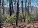 0000 Laurel Thicket None 100/101 sold home in Brevard, SC