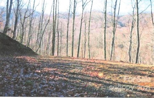 A25 Tawodi Trail