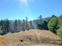 Lot 140 Elkton Court sold home in Mill Spring, SC