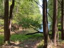 171 Big Tree Way 4 sold home in Nebo, SC