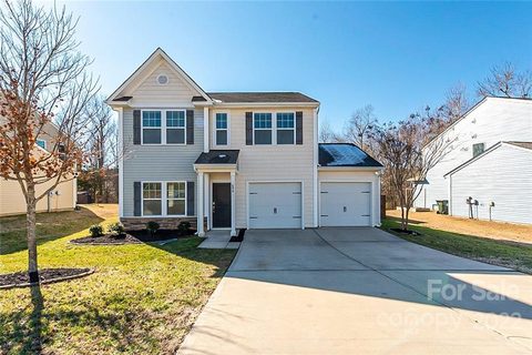494 Dutch White Drive