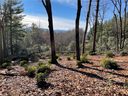 Lot 55 Winterberry Drive sold home in Hendersonville, SC