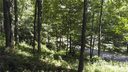 194 Blue Ridge Drive sold home in Marion, SC