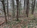 10 Cedar Drive sold home in Lenoir, SC