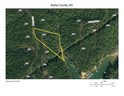 2459 Ivy Rays Way 54 sold home in Nebo, SC