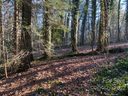 Lot 72 Mary Place sold home in Flat Rock, SC