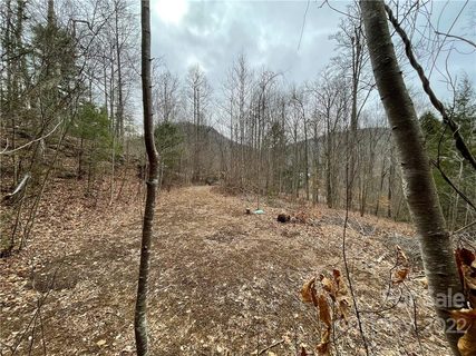 00000 Blue Rock Road 18 sold lot in Blue Rock Valley, Hendersonville, NC