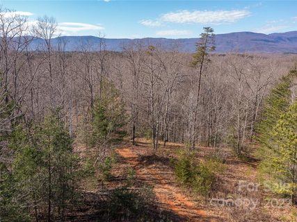 9999 Log Cabin Road