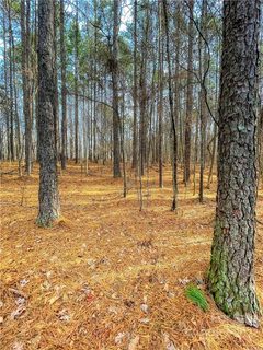 500 Cove Wood Drive 75