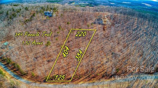 349 Pinnacle Trail 61