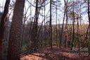 Lot 49 Round Mountain Road sold home in Brevard, SC