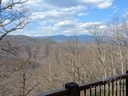 21 Ninebark Lane C-14 sold home in Black Mountain, SC