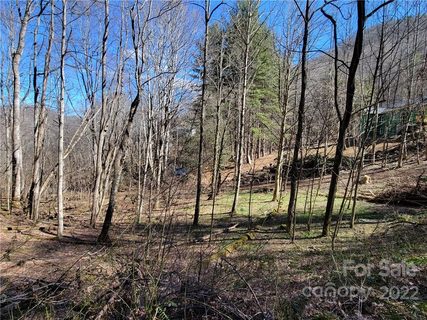 16 Fray Burrow Trail sold lot in Dellwood Forest, Waynesville, NC