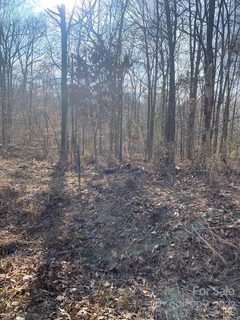 0 Katie Lane 48 sold lot in Bellwood, Statesville, NC
