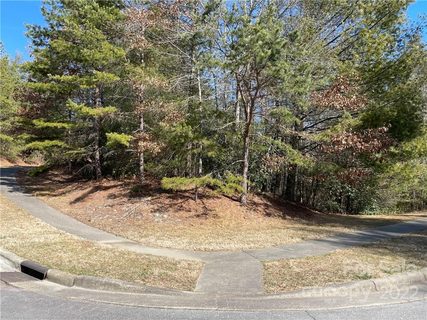 V30 Blueberry Hill Road active lot in Straus Park, Brevard, NC
