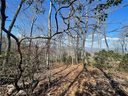 41 Pepperbush Road sold home in Brevard, SC