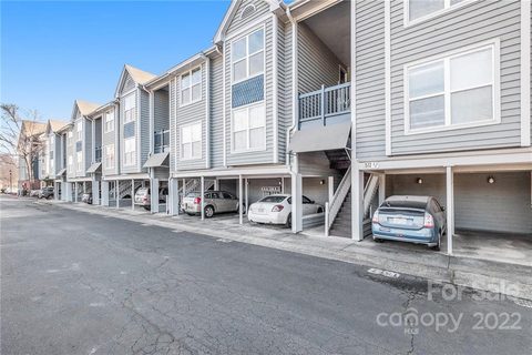 517 Graham Street 3H