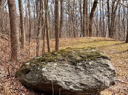 9999 Skyuka Mountain Road 2 sold home in Camp Skyuka, Columbus, NC