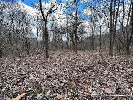 163 View Ridge Parkway sold home in Blue Mist Farms, Leicester, NC