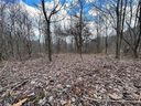 163 View Ridge Parkway sold home in Leicester, SC