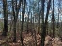 Lot 86 Volley Way sold home in Saluda, SC