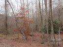 Lot 67 Big Branch Drive sold home in Marion, SC