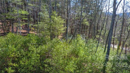 99900 Trellem Trail 10 sold home in Awenasa Hills, Hendersonville, NC