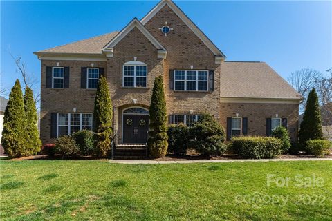 11806 Morgan Horse Trail