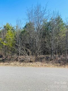 2804 Drummond Street sold lot in WILLOW OAKS, Connelly Springs, NC