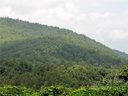 0 Rainbow Trout Drive sold home in Spruce Pine, SC