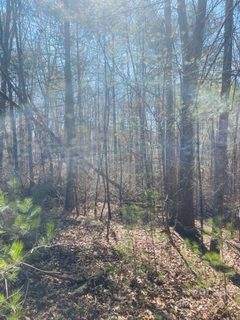 0 R And S Circle active lot in Roy Hilferty, Hickory, NC