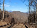 T 17 67 Tanager Lane T-17 sold home in Black Mountain, SC