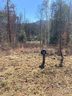 62 River Club Drive sold home in Cullowhee, SC