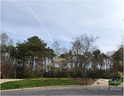 319 Inland Cove Court 77 sold home in Clover, SC