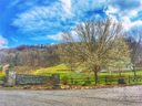 118 Maple Glen Drive 190 sold home in Weaverville, SC