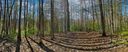 1156 Bear River Lodge Trail 61 sold home in Marshall, SC