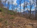 326 Filly Lane sold home in Maggie Valley, SC