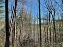 96 Winghaven Drive 42 sold home in Nebo, SC