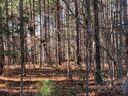 129 Water Oak Way 36 sold home in Mount Gilead, SC