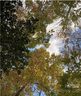 2968 Woodwind Drive sold home in Valdese, SC