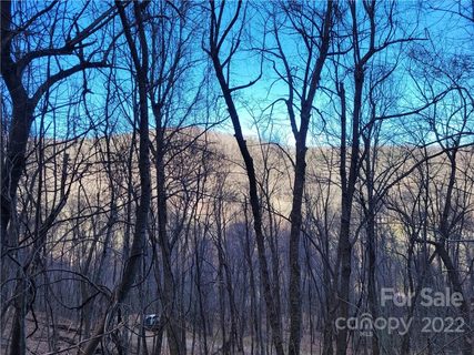 0 Woodys Drive Lot 11 sold lot in Woodys Mtn Estate, Hendersonville, NC