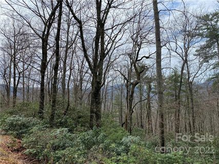 V L N Forest Drive 44 sold home in Linville Forest, Marion, NC