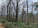 V L N Forest Drive 44 sold home in Marion, SC