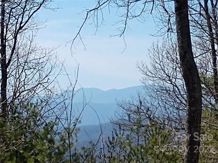 00 Fox Ridge Trail 46