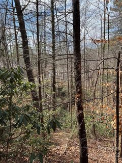 000 Turning Leaf Drive 166