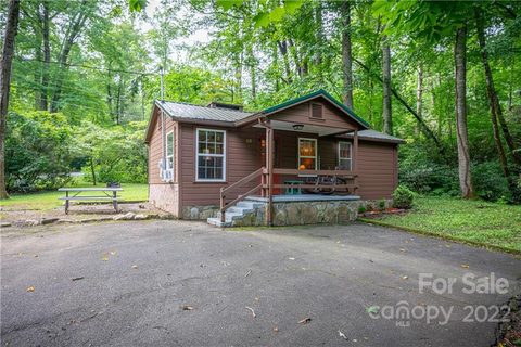 48 Viola Loop