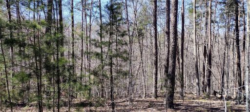 Lot 137 Grindstone Drive